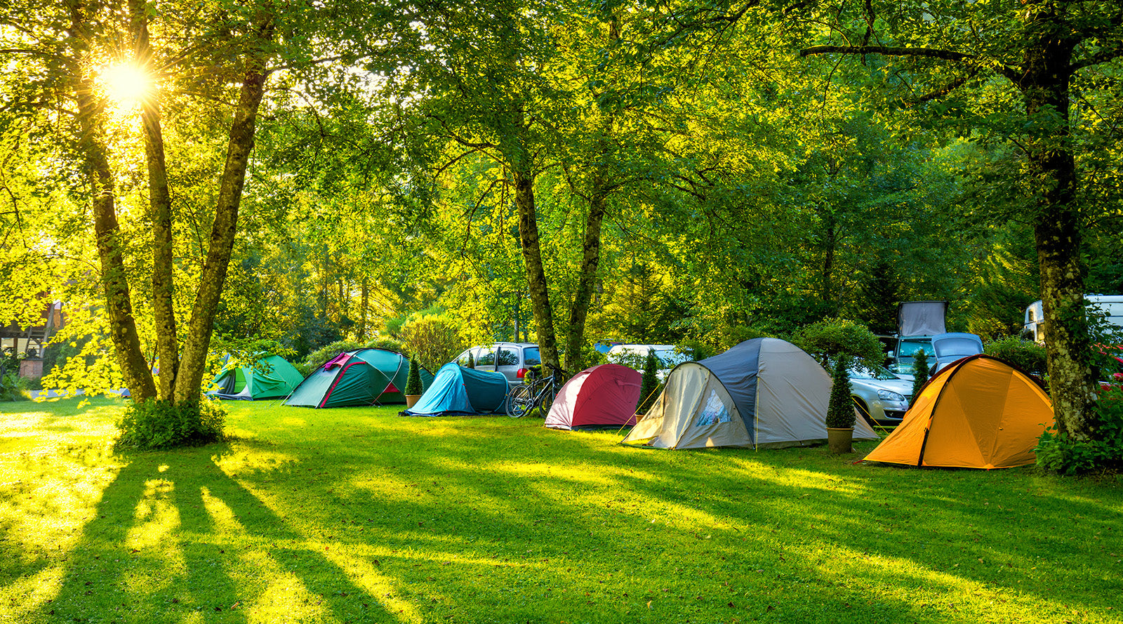 A row of tents at UK campsite in midsummer